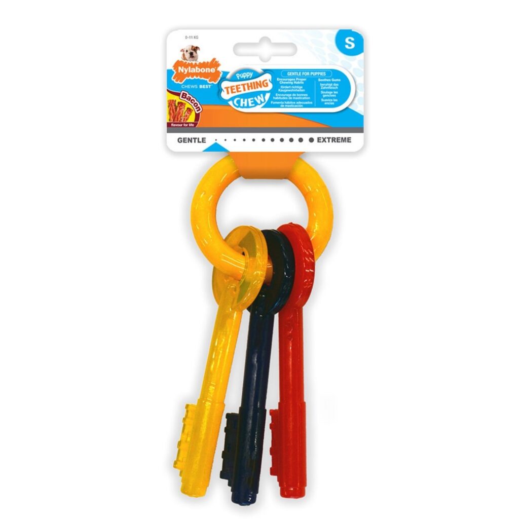 Nylabone Puppy Keys Small Dog Toy