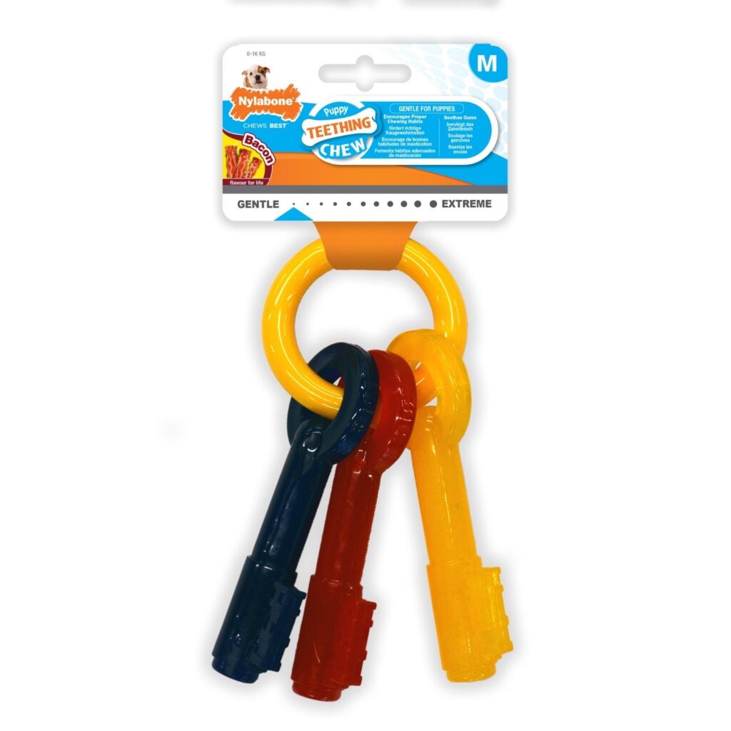 Nylabone Puppy Keys Medium Dog Toy