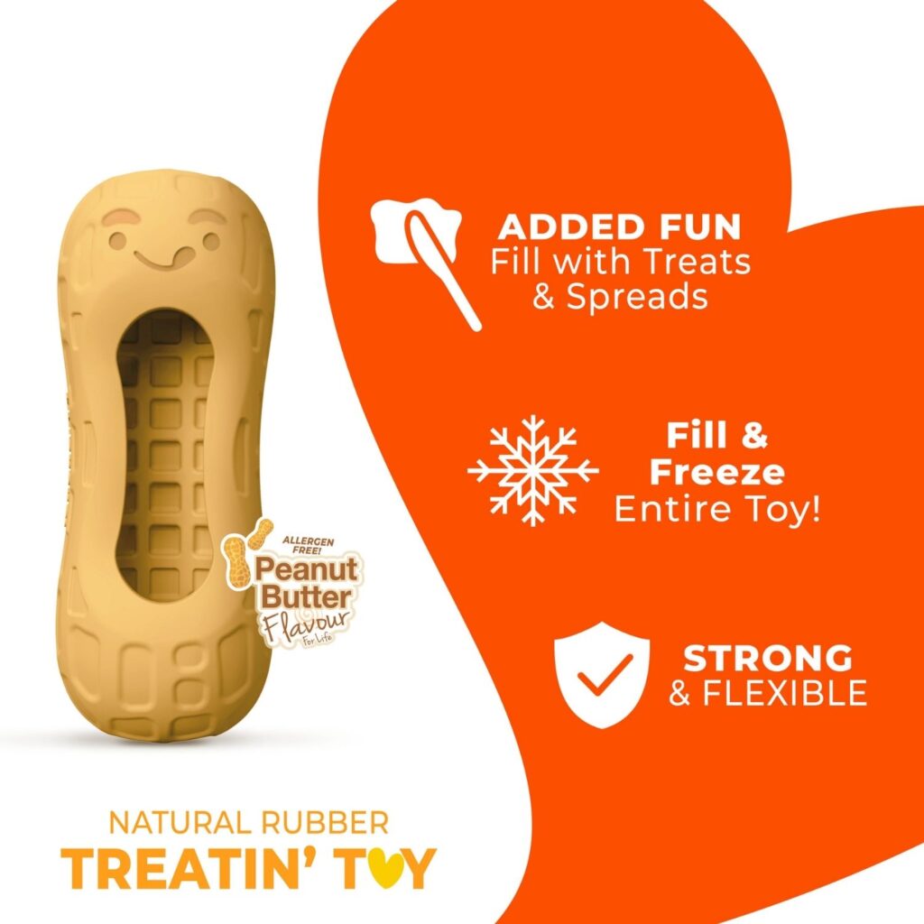 Nylabone Peanut Butter Strong Treat Toy Medium Dog Toy