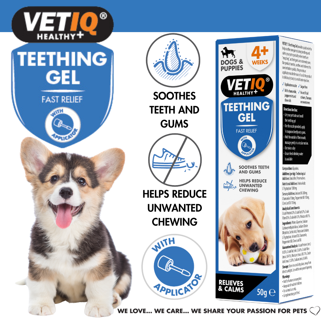 VETIQ® Teething Gel