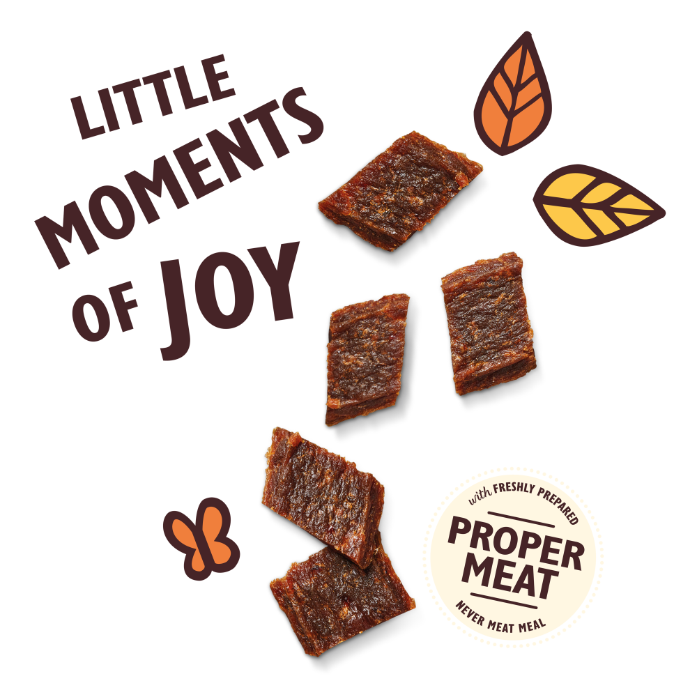 Lily's Kitchen Training Treats with Chicken & Beef 70g