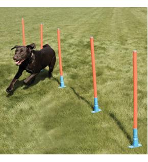 Dog Agility Slalom with Bag