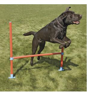 Dog Agility Hurdle with Bag