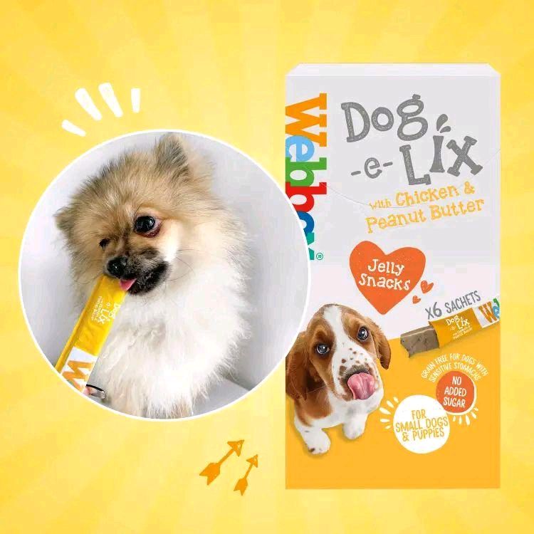 Webbox Dog e Lix