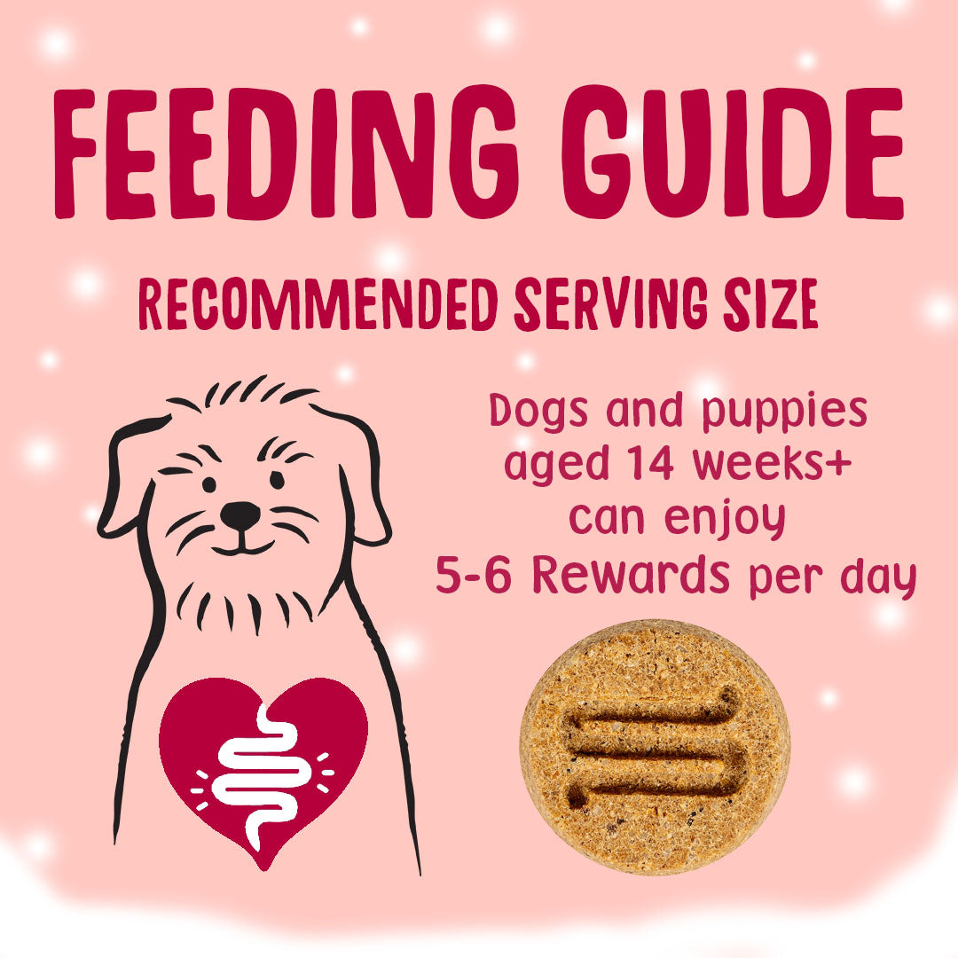 Scrumbles Christmas Turkey & Cranberry Dog Treats 90g