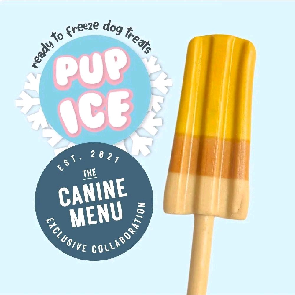 Pup Ice Ready to Freeze Dog Treat