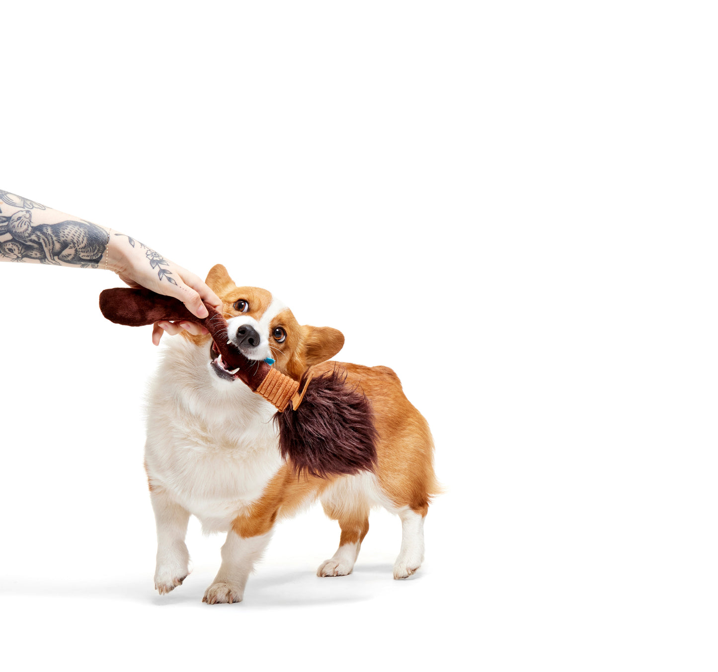 Bark x Harry Potter Dog Toy Nimbus 2000 Plus