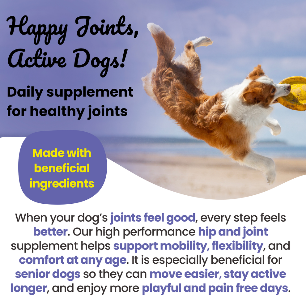 Supernature Super Joints for Dogs 150g