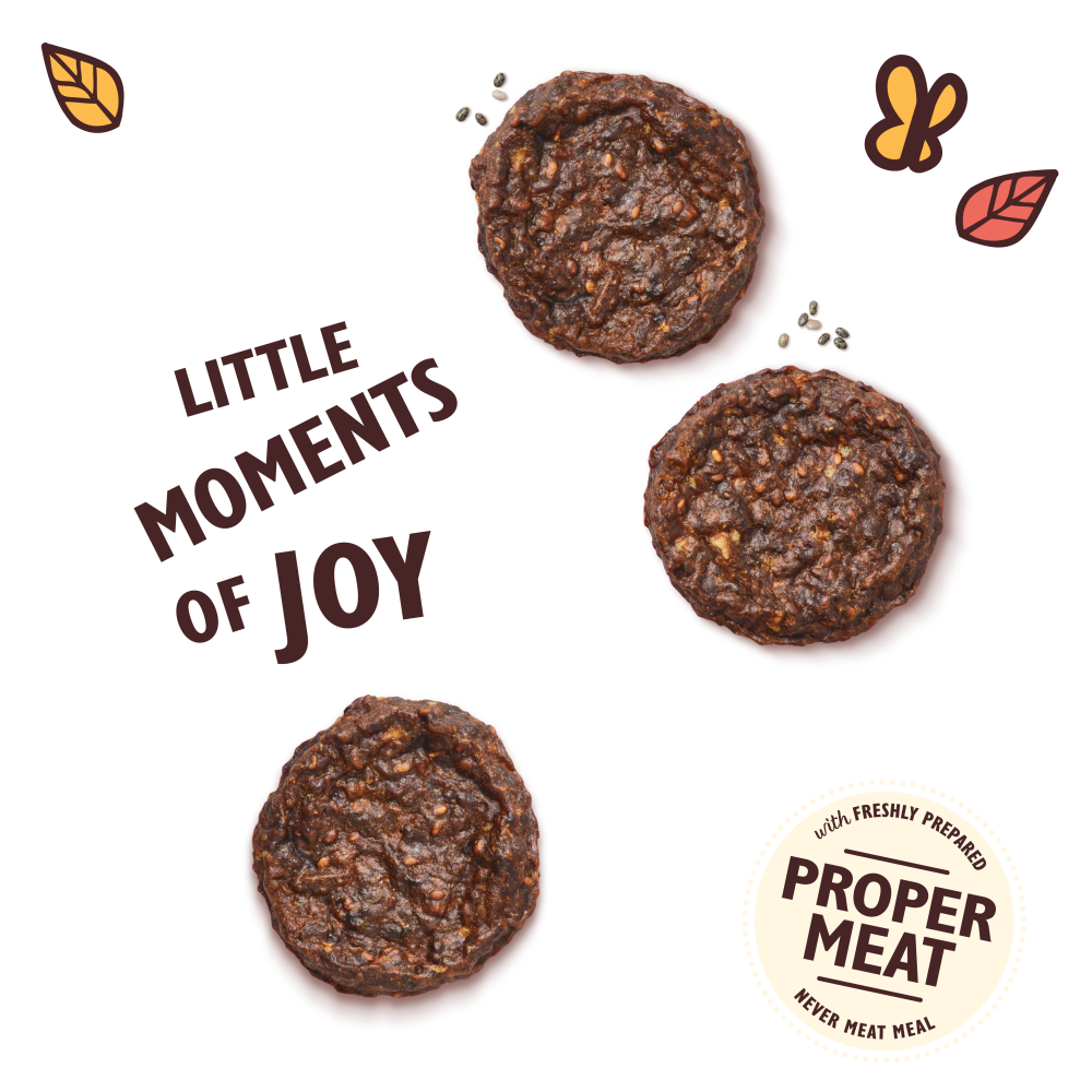 Lily's Kitchen Beef Mini Burgers 70g