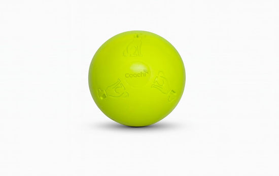 Boomi Ball Dog Toy
