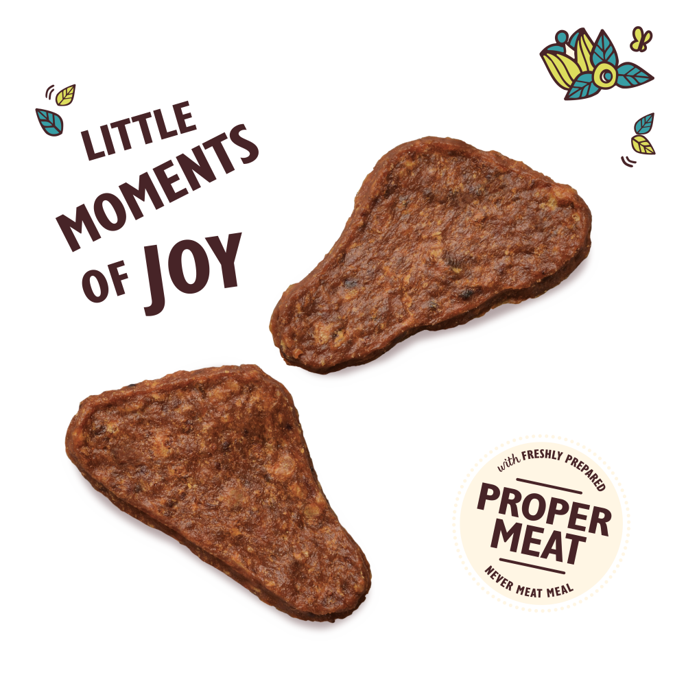 Lily's Kitchen The Mighty Duck Mini Jerky 70g