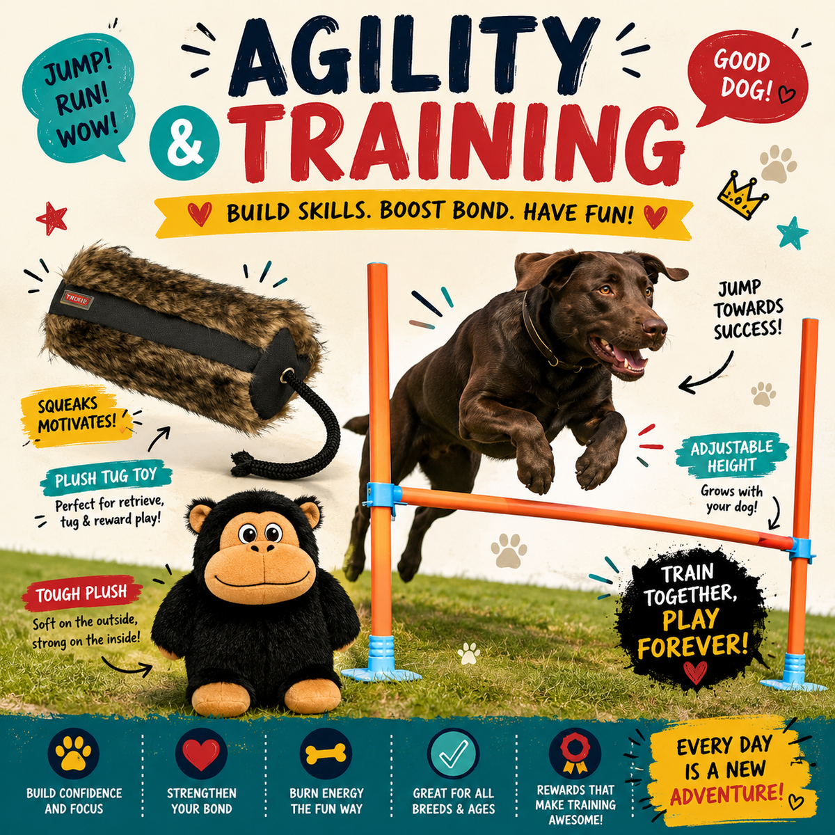 Agility & Training