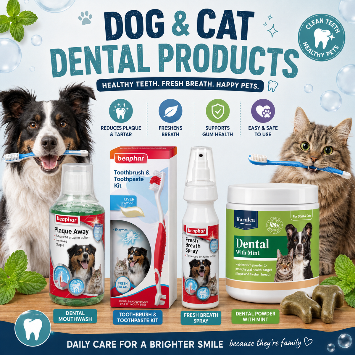 Dental