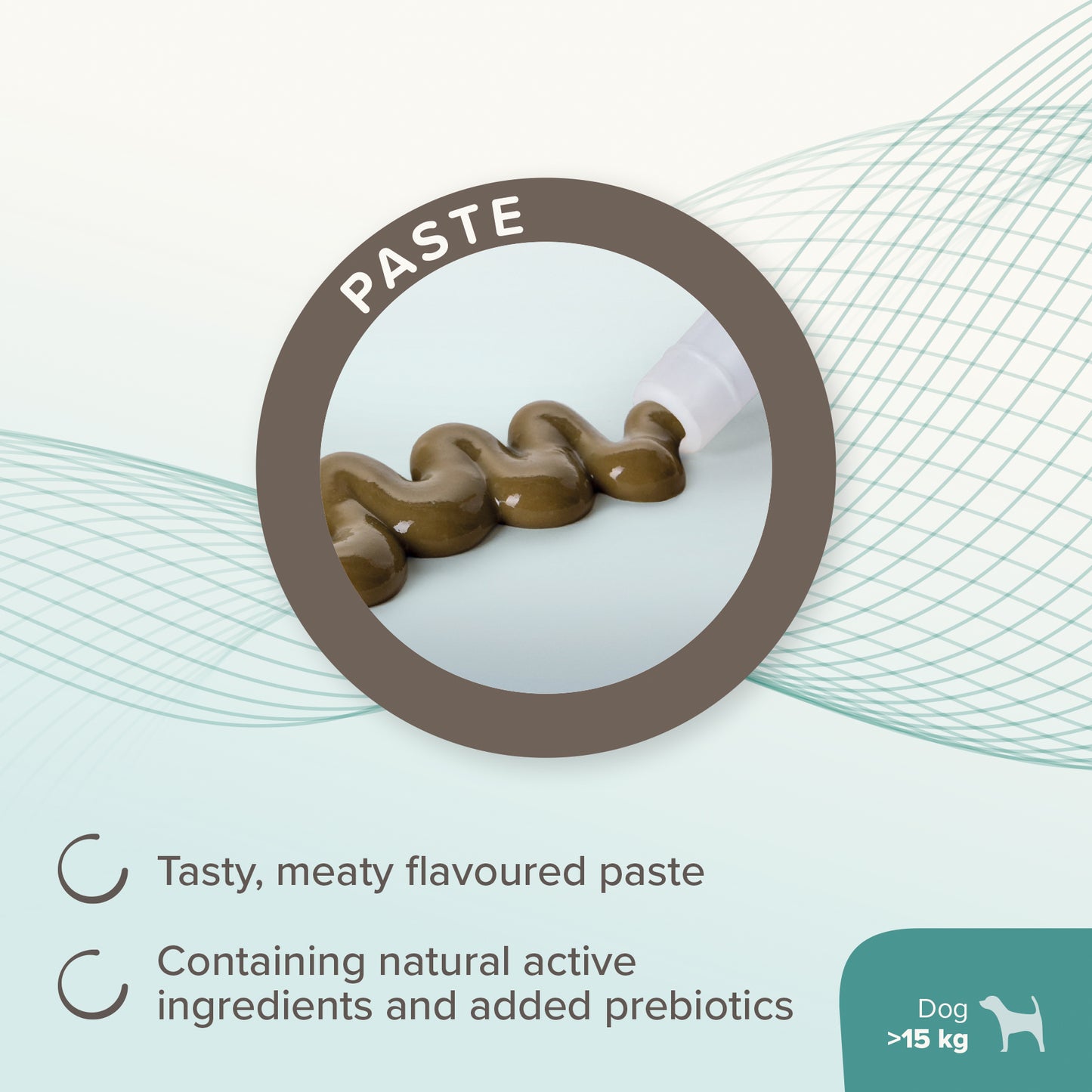 Beaphar IntestoPro Prebiotic Stool Firming Paste