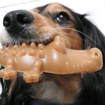 Maks Patch Vegan Natural Dog Treats