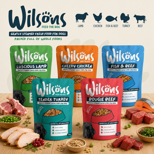 Wilson's Dog Food - Freshly Cooked 380g