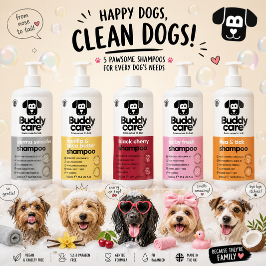 Buddycare Dog Shampoo 500ml