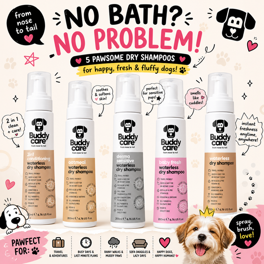 Buddycare Waterless Dry Shampoo 200ml