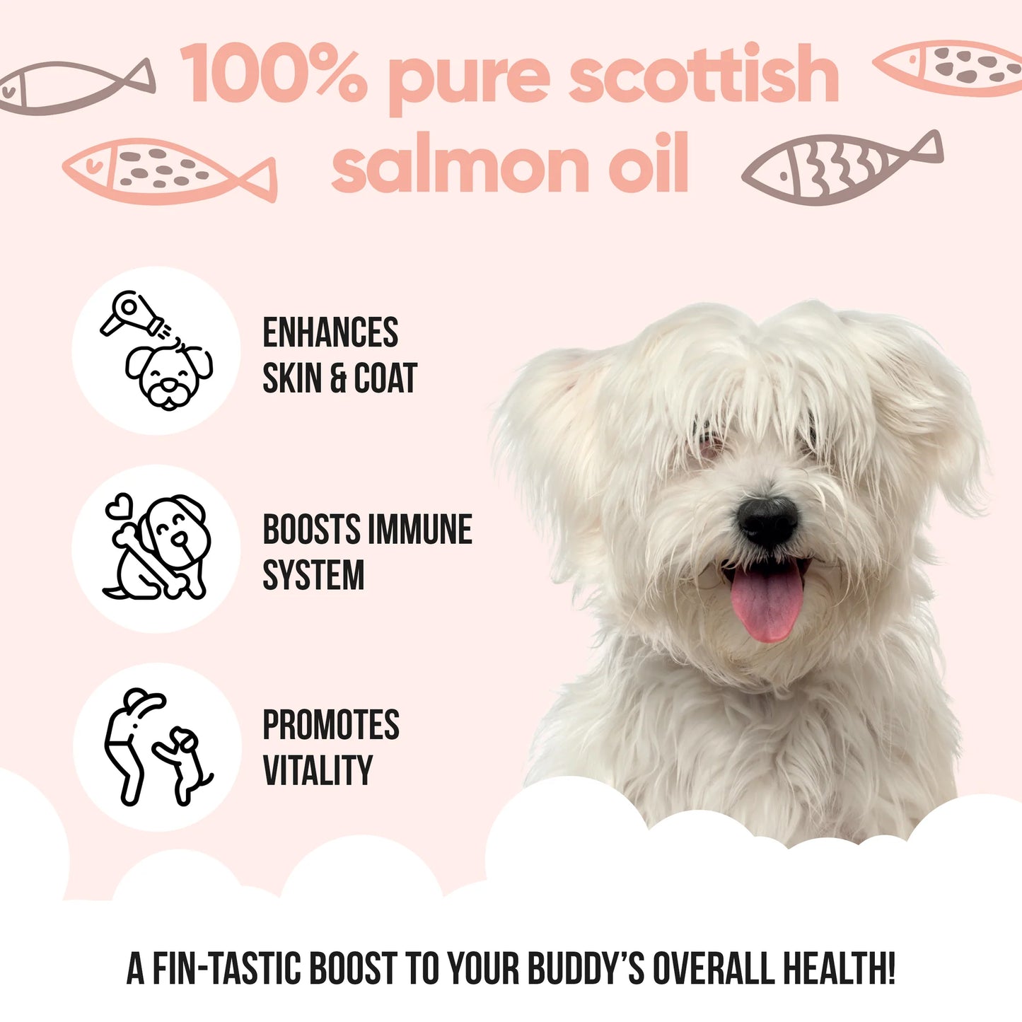 Buddycare Scottish Salmon Oil for Dogs & Cats 500ml