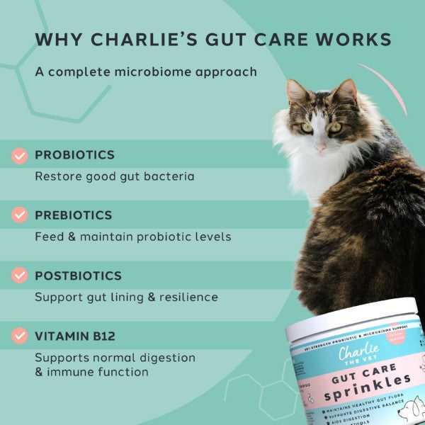 Charlie The Vet Gut Care Sprinkles 120g