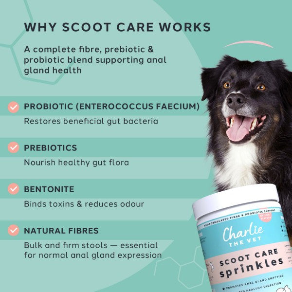 Charlie The Vet Scoot Care Sprinkles 500g