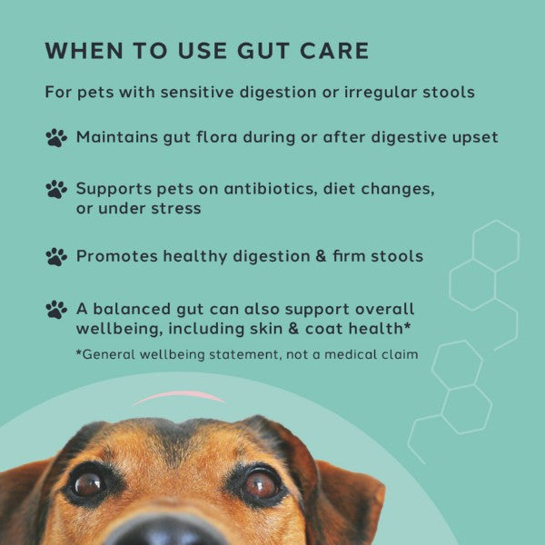 Charlie The Vet Gut Care Sprinkles 120g