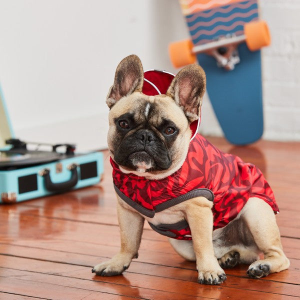 GF Pet Elasto-Fit Reversible Raincoat Red Abstract