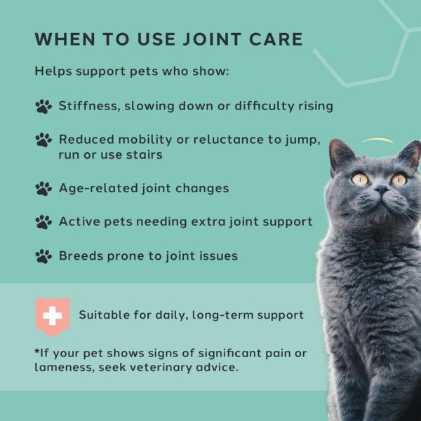 Charlie The Vet Joint Care Sprinkles 100g