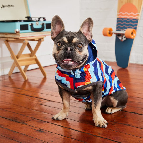GF Pet Elasto-Fit Reversible Raincoat Navy Retro
