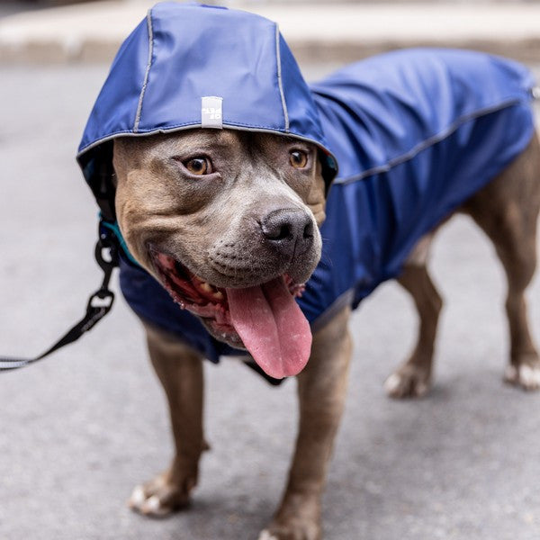 GF Pet Elasto-Fit Reversible Raincoat Navy Retro