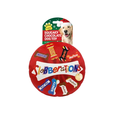Christmas Chocolate Box Squeaky Dog Toy