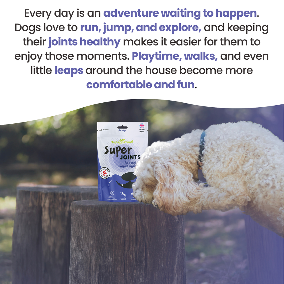 Supernature Super Joints for Dogs 150g