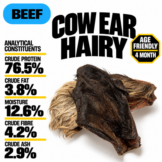 Cows Ear With Hair (Single)