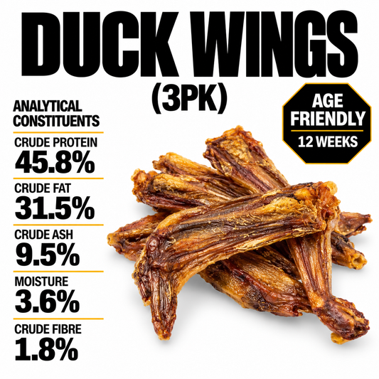 Duck Wings (3 PCS)