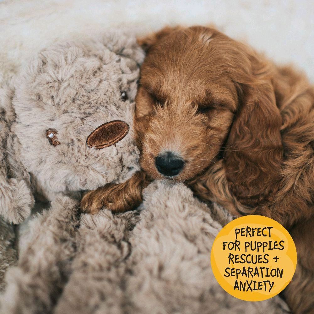 Rosewood My Dog Plush Anxiety Dog Toys