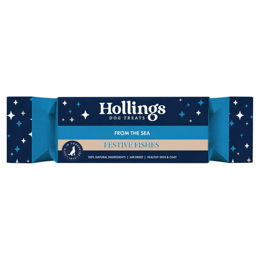 LAUNCHING SOON! Hollings Christmas Cracker Festive Fishes