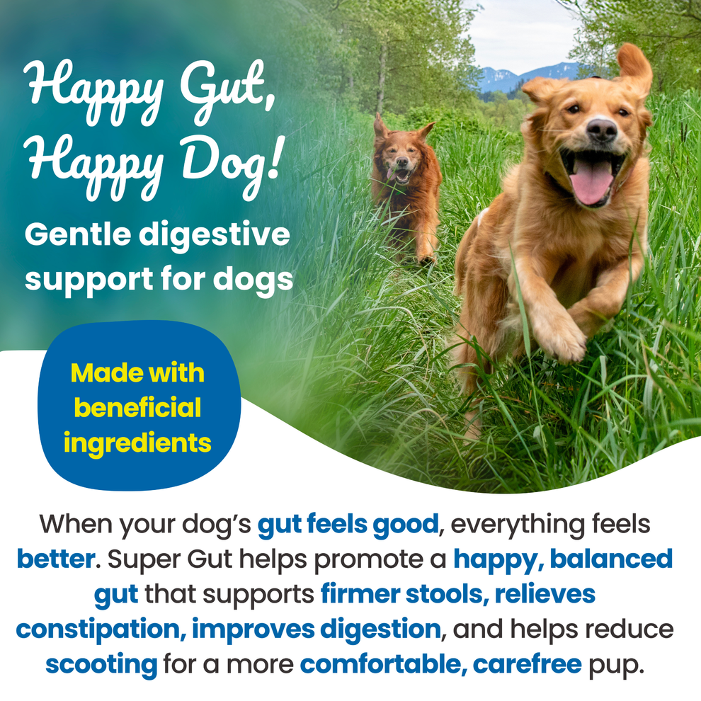 Supernature Super Gut for Dogs