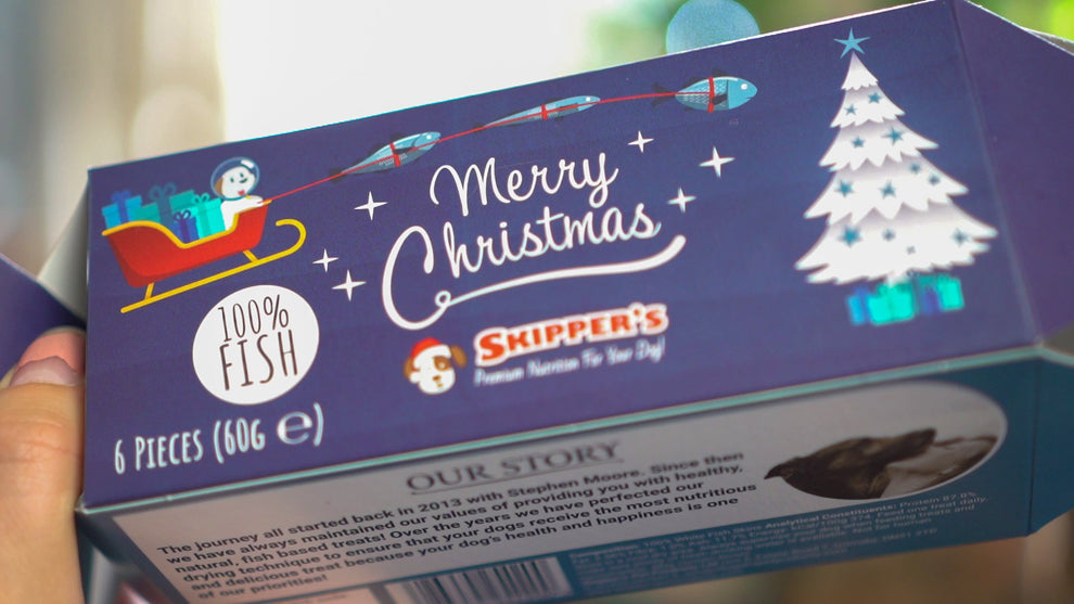 Skippers Christmas Cracker for Dogs with Fish Skin Flatties