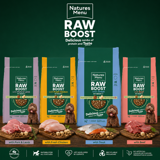 Natures Menu Raw Boost