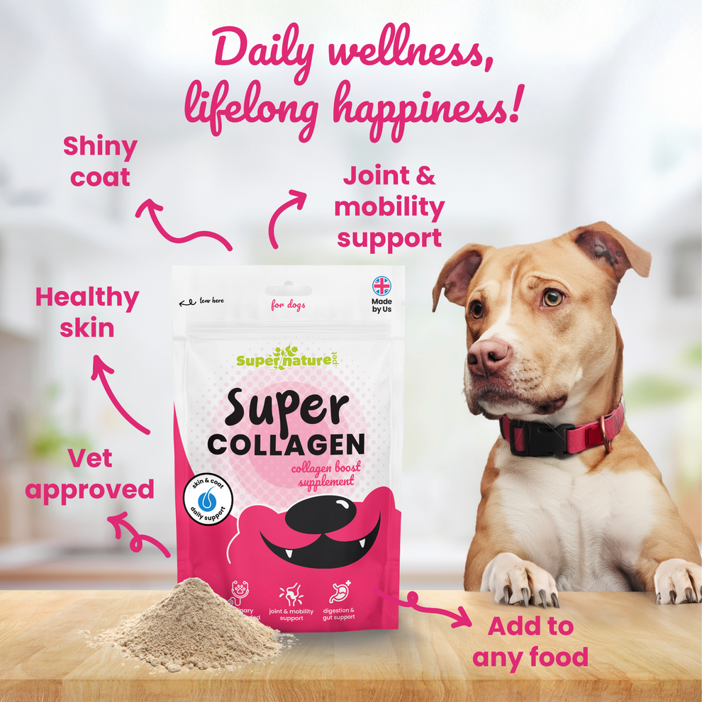 Supernature Super Collagen for Dogs 150g