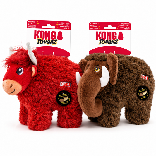 Kong Toughz Dog Toy Range