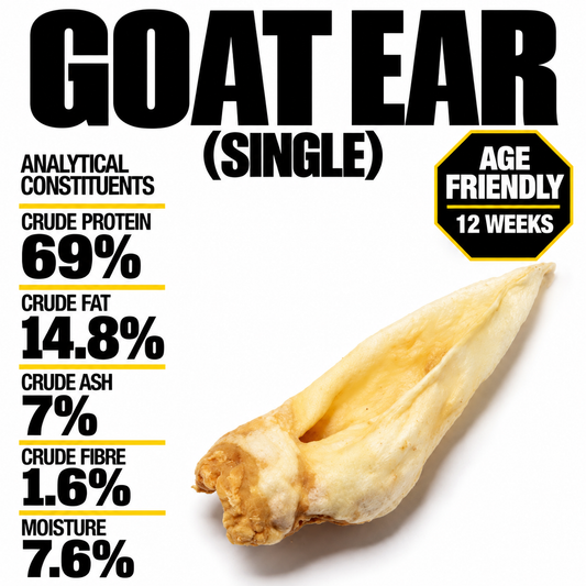 Goat Ear (single)