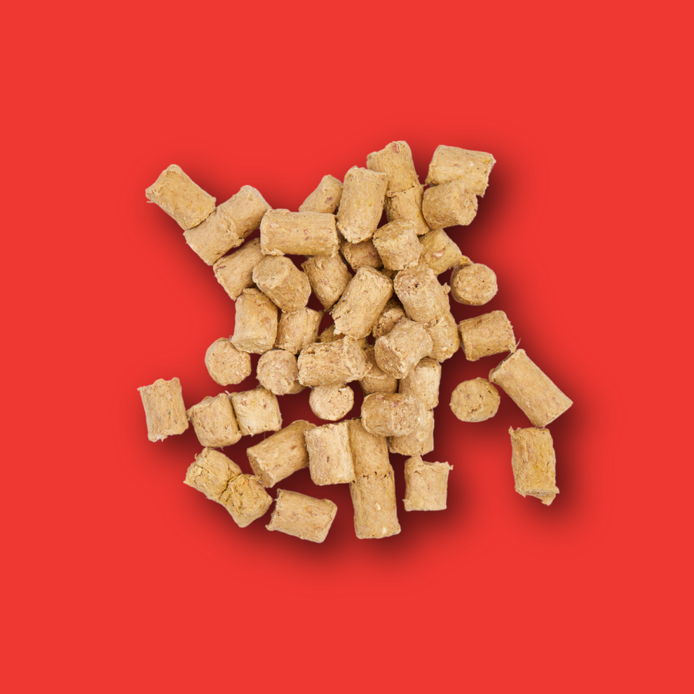 Nutriment Freeze Dried Dog Treats 30g