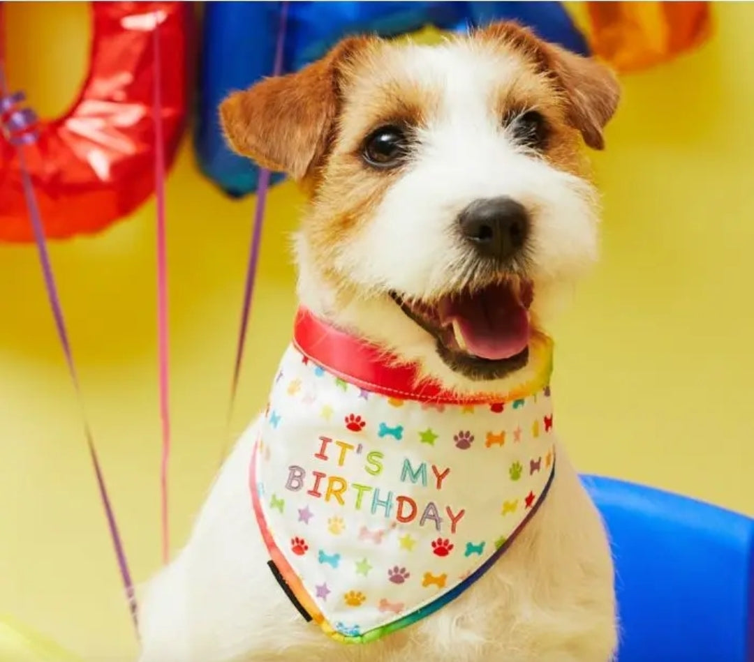 Pet London Dog / Cat Birthday Bandanas