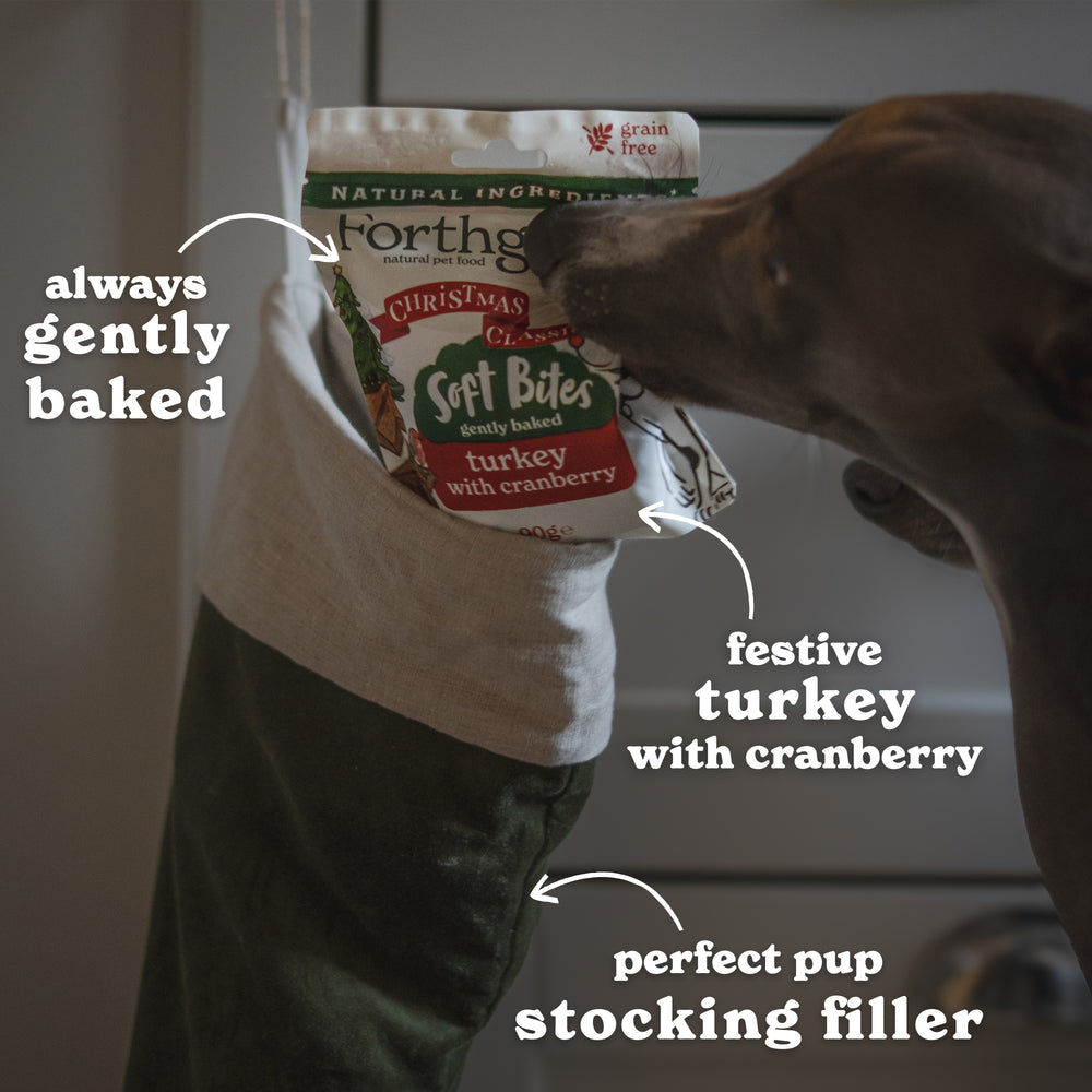 Forthglade Natural Christmas Soft Bites Turkey & Cranberry 90g