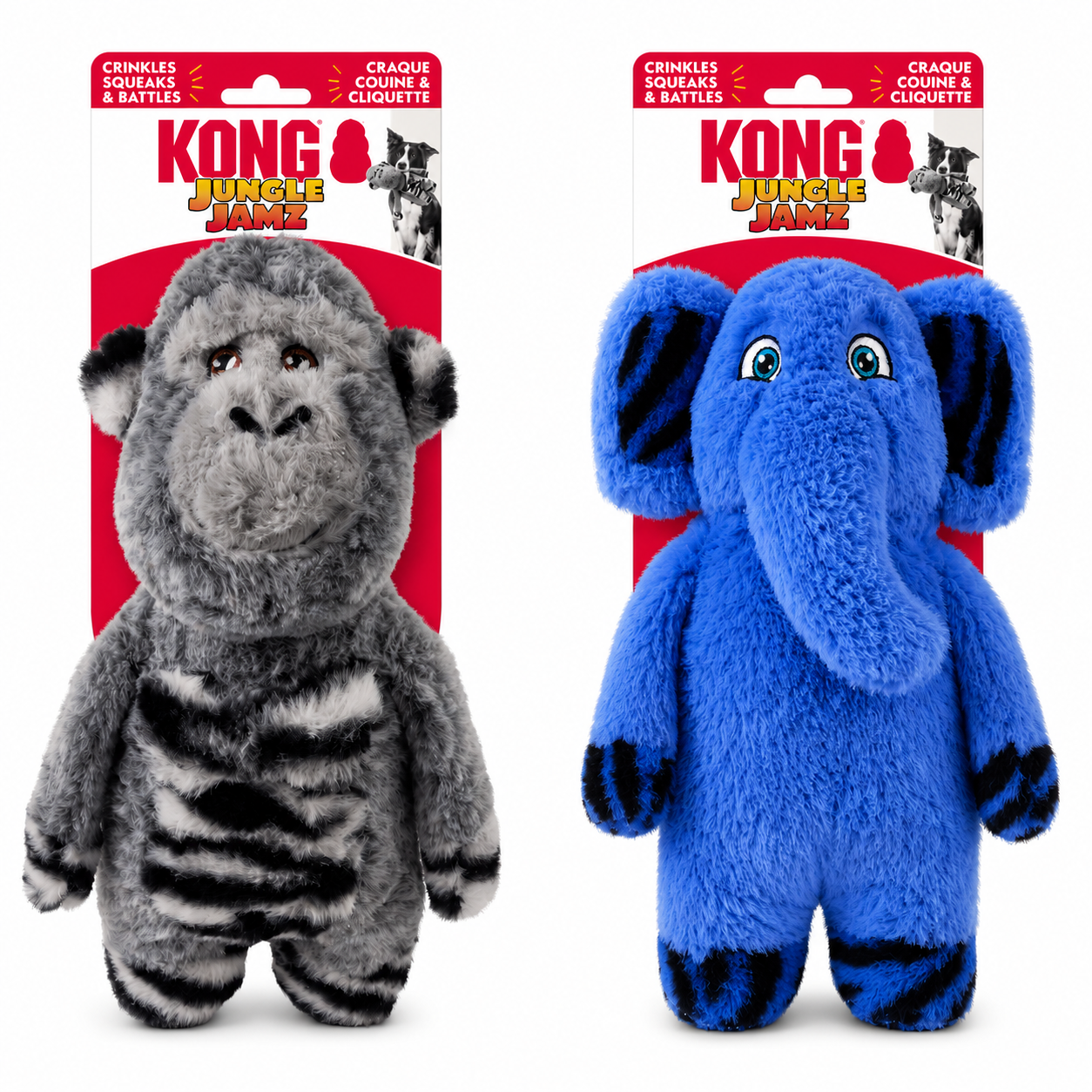 Kong Jungle Jamz