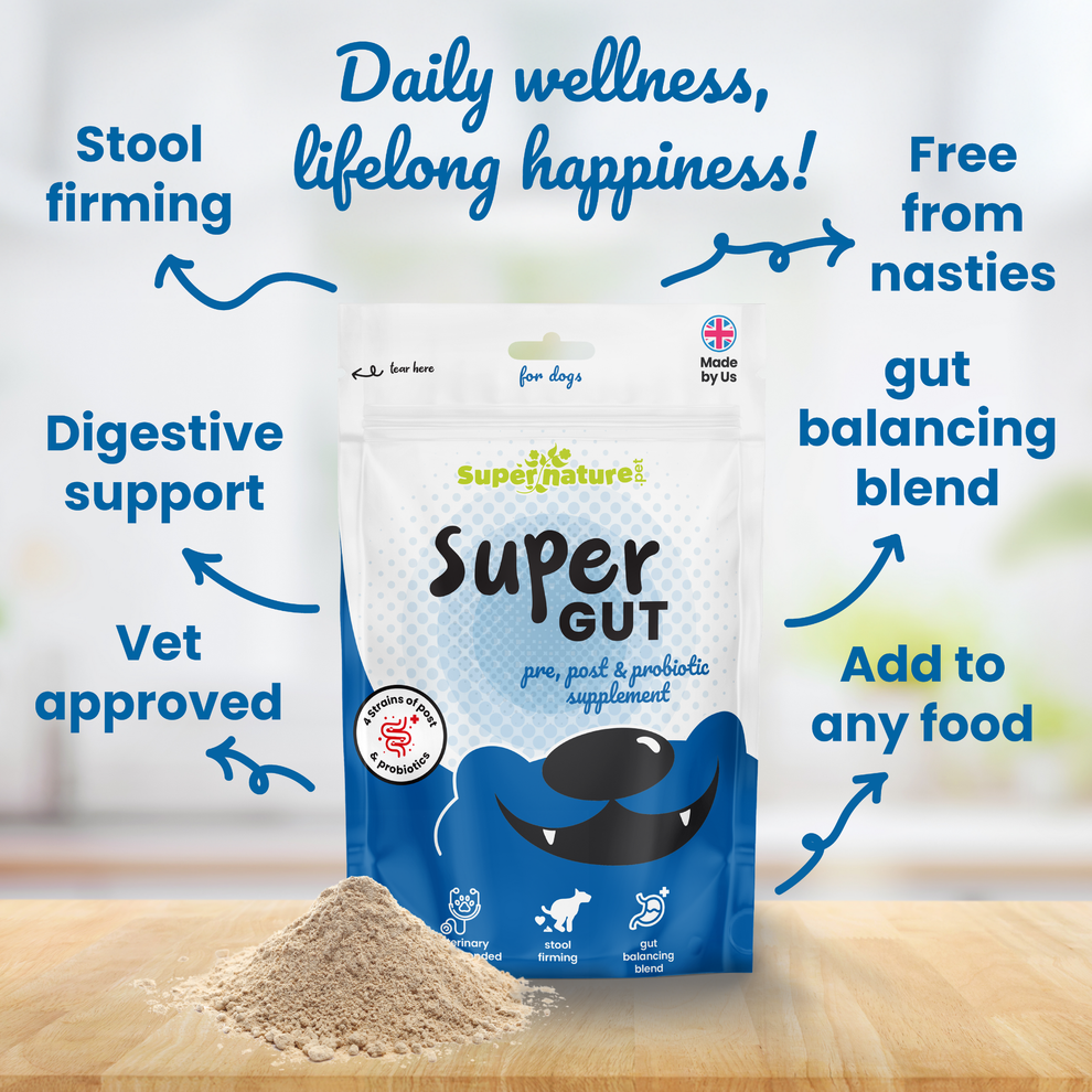 Supernature Super Gut for Dogs