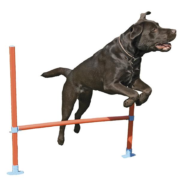 Dog Agility Hurdle with Bag