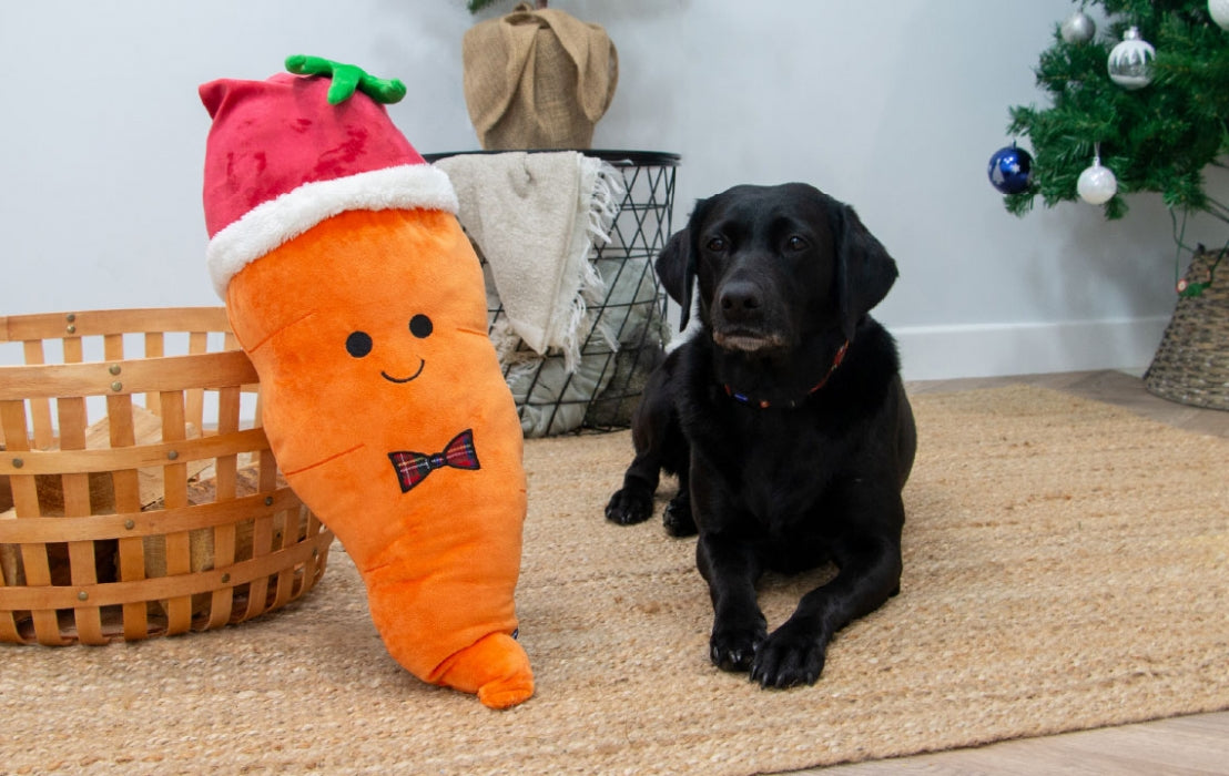 Ancol Christmas Dog Toys