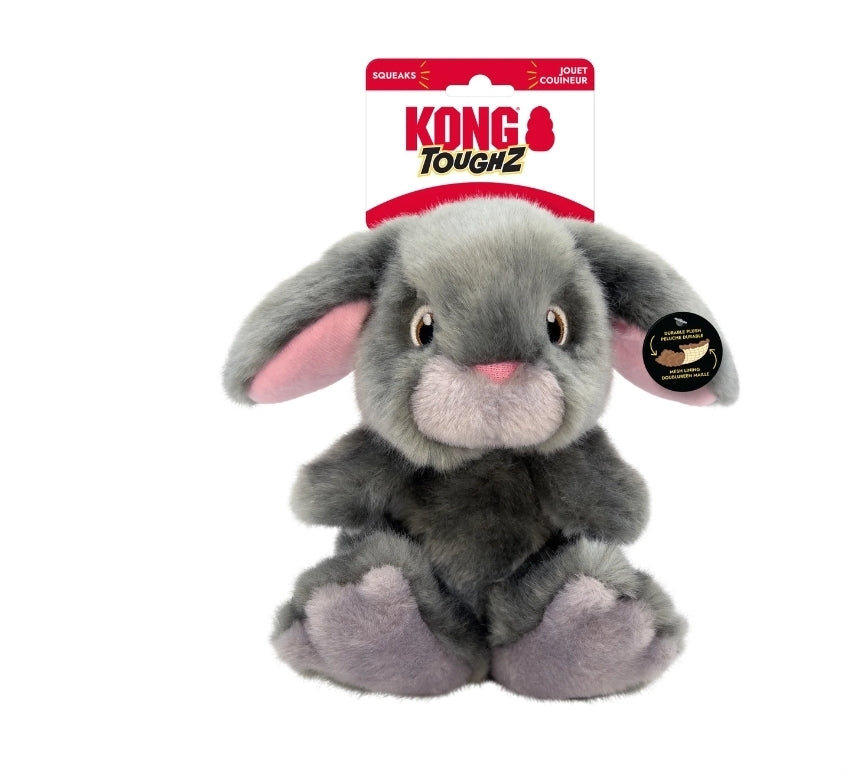 Kong Toughz Dog Toys